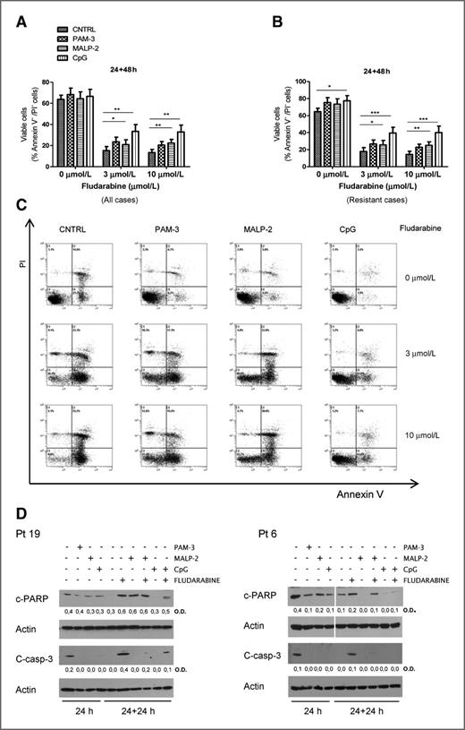 Figure 3. TLRs protect CLL cells from fludarabine-induced apoptosis. A, CLL cells prestimulated with Pam3CSK4, MALP-2, and CpG ODN2006 for 24 hours and following treated with 3 or 10 μmol/L of fludarabine for additional 48 hours (14 patients were analyzed for Pam3CSK4 and 18 for MALP-2 and 19 for CpG, namely patients number 1, 2, 6, 9, 10, 13, 14, 15, 16, 17, 19, 20, 30, 33, 37, 39). Mean percentage ± SEM of viable cells is reported. Wilcoxon matched pairs test was conducted. B, resistant samples were analyzed as in A. Eleven patients were analyzed for Pam3CSK4 and 13 for MALP-2 and 14 for CpG. Mean percentage ± SEM of viable cells is reported. C, a representative example of AnnexinV/PI staining of CLL cells either untreated or treated for 48 hours with 3 and 10 μmol/L of fludarabine, before and after 24-hour TLR stimulation (Pt 2). D, Western blot analysis of the apoptotic cleavage of PARP and caspase-3 confirms the protective effect of the TLR ligands on fludarabine-induced apoptosis. Two representative examples (n = 6 for PARP and n = 3 for caspase-3) are shown. Relative optical density (OD) of each band is indicated at the bottom of the panel; the ratio of the OD of protein of interest and the OD of β-actin was calculated for each sample. *, P < 0.05; **, P < 0.01.