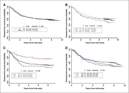 Figure 2. Kaplan–Meier estimate of disease-free survival related to (A) TP53 genotype (WT, wild type; mutant, any TP53 mutation in exons 5–8) among all patients evaluated, P = 0.86. B–D, Kaplan–Meier estimates of disease-free survival related to TP53 status (WT, wild type; ZB, zinc-binding mutation; NZB, non-zinc-binding mutation) among: (B) all patients evaluated, P = 0.20; (C) women, P = 0.008; and (D) men, P = 0.36. Corresponding 5-year survival estimates are in Table 1, rows 11–13.