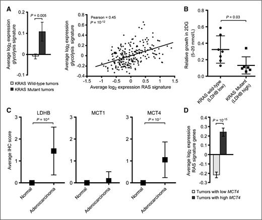 Figure 5. Activated RAS is associated with increased glycolysis in lung adenocarcinomas. A, average log2 expression glycolysis signature genes ± SEM is shown for lung adenocarcimoma tumors (left) that are KRAS wild-type (n = 206) or KRAS-mutant (n = 20). P value is a Student t test. Correlation analysis between the average log2 expression of glycolysis signature genes and RAS signature genes in individual lung adenocarcinomas (right). P value for Pearson correlation is a one-tailed t test. B, sensitivity of 7 KRAS wild-type and 6 KRAS-mutant cell lines to 2-deoxyglucose (2-DG). Each dot or square denotes an individual cell line and error bars represent SD. P value indicates a statistically significant difference in cell growth between the 2 groups, Student t test. C, average IHC scores ±SD for LDHB, MCT1, and MCT4 are shown for normal lung tissue or adenocarcinomas. P values are Student t tests. D, average log2 expression RAS signature genes (20) ± SEM in lung adenocarcimoma tumors with low (n = 118) or high (n = 108) MCT4 expression (below or above mean MCT4 expression across all tumors, respectively). P value is a Student t test.