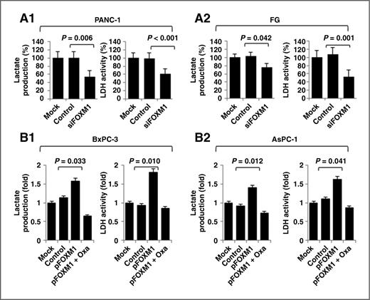 Figure 2. FOXM1 regulation of LDH activity and lactate production in pancreatic cancer cells. A and B, PANC-1 and FG cells were transfected with siFOXM1 or control siRNA (A), and BxPC-3 and AsPC-1 cells were transfected with pcDNA3.1, pcDNA3.1-FOXM1, or pcDNA3.1-FOXM1 and treated with 20 mmol/L oxamate sodium (B). The cultures were incubated for 48 hours. A Lactate Assay Kit was used to analyze the lactate production (left), and an LDH Activity Assay Kit was used to analyze the LDH activity (right).