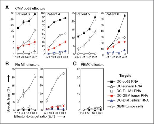 Figure 4. CMV pp65-specific T cells lyse autologous GBM tumors. T cells generated from ex vivo culture with CMV pp65 RNA-pulsed DCs were used as effector cells in a europium release assay to determine CTL activity. A, Target cells used included DCs pulsed with CMV pp65 RNA, survivin RNA, Flu M1 RNA, GBM tumor RNA, and total cellular RNA (RNA isolated from autologous PBMCs or DCs) as indicated. Patient-derived autologous primary GBM tumor cells were also used as target cells. B, T cells stimulated with DCs pulsed with Flu M1 RNA were tested against the same targets and demonstrated no activity against patient tumor cells. Flu M1-specific T cells specifically lyse only Flu M1-expressing DC targets. Data using cells from Patient 5 and Patient 6 are depicted. C, T cells stimulated with DCs pulsed with PBMC RNA (RNA isolated from autologous PBMCs) were incapable of inducing CTL activity against any of the targets tested. Figure represents data using cells from Patient 5.
