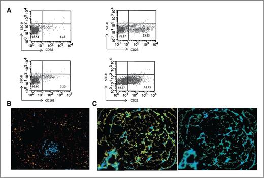 Figure 4. CD14+ cells consistent with FDC. A, flow cytometry demonstrates coexpression primarily on CD21 and 23 and not CD68 and 163 (n = 3). B, multicolor IHC of CD14 (blue), CD68 (red), and CD163 (orange) demonstrating no colocalization. C, cells staining for CD14 (blue) colocalize to identical cells staining positive for CD21 (yellow) and CD 23 (green) exemplified on magnified insets.