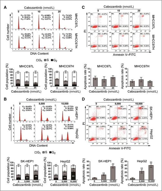 Figure 2. Effects of cabozantinib on cell-cycle progression and apoptosis in HCC cells. A and B, effect of cabozantinib on the cell cycle. MHCC97L, MHCC97H, SK-HEP1, and HepG2 cells were treated with either 0.1% DMSO (dimethyl sulfoxide) or cabozantinib for 24 hours. After treatment, cells were harvested, fixed, and stained with propidium iodide (PI) for flow cytometric analysis. Data were analyzed using ModFit and were reported as the mean ± SD. C and D, apoptosis of HCC cells detected by the Annexin V–FITC/propidium iodide–binding assay. Cells were treated with either 0.1% DMSO or cabozantinib for 48 hours at the indicated concentrations, and then stained with Annexin V–FITC and propidium iodide. The rate of apoptosis was determined using a flow cytometer, and data were analyzed using Kaluza software and were reported as the mean ± SD. The results are representative of three independent experiments. *, P < 0.05 and **, P < 0.01, versus control.
