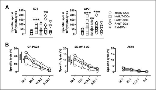 Figure 1. HuHuT-DCs, HuRT-DCs, RHuT-DCs, and Rat-DCs from healthy subjects elicit anti-HER2 CD8 response. A, activation of CD8+ T cells from healthy subjects after 7 days of co-culture with empty-DCs (), HuHuT-DCs (), HuRT-DCs (), RHuT-DCs (), or Rat-DCs (). IFN-γ ELISPOT assay performed after 7 days of culture with transfected DCs from healthy subjects (n = 17). IFN-γ release was evaluated in response to T2 cells pulsed with E75 or GP2 peptides. Values of peptide-specific spots were calculated by subtracting the number of spots against unloaded T2 from the number of spots against peptide-loaded T2. **, P < 0.001; ***, P < 0.0001 compared with empty-DCs. B, cytotoxicity assay: after 7 days co-cultures, recovered T cells were tested in a 4-hour 51Cr release assay at different effector:target ratios against CF-PAC1, SKOV-3-A2, or A549 cells. Percentage of specific lysis was determined as described in Materials and Methods. *, P < 0.05; **, P < 0.001; ***, P < 0.0001 compared with empty-DCs.