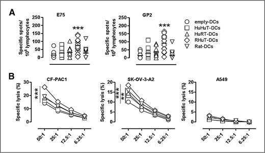 Figure 2. RHuT-DCs from HER2-CP elicit anti-HER2 CD8 T-cell response. Activation of CD8+ T cells from CP after 7 days of co-culture with empty-DCs (), HuHuT-DCs (), HuRT-DCs (), RHuT-DCs (), or Rat-DCs (). A, IFN-γ ELISPOT assay performed after 7 days of co-culture with transfected DCs from HER2-CP (n = 13). IFN-γ release was evaluated in response to T2 cells pulsed with E75 or GP2 peptides. ***, P < 0.0001 compared with empty-DCs. B, 51Cr release assay against CF-PAC1, SKOV-3-A2, or A549 cells. **, P < 0.001; ***, P < 0.0001 compared with empty-DCs.