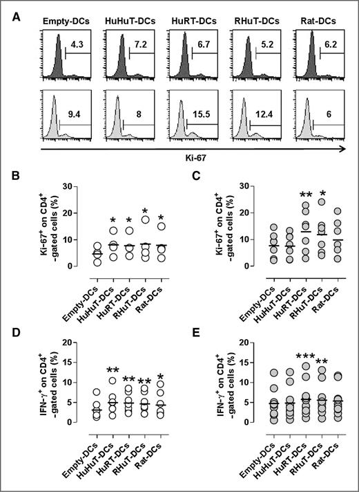 Figure 3. Chimeric HuRT-DCs and RHuT-DCs from HER2-CP elicit a TH1 response. Proliferation and IFN-γ expression of CD4+ T cells after 7 days of co-culture with transfected DCs. A, representative expression of Ki-67 on CD4+ T gated cells of healthy subjects (top row) and HER2-CP (bottom row). Graphs show percentage of Ki-67+ gated on CD4+ T cells from 4 healthy subjects (B) and 7 HER2-CP (C). IFN-γ intracellular staining of CD4 T cells. After 7 days of co-culture with transfected DCs, recovered T cells were restimulated with αCD3/CD28 mAb (1 μg/mL). Graphs show percentage of IFNγ+ on CD4+ T gated cells from 5 healthy subjects (D) and 8 HER2-CP (E). *, P < 0.05; **, P < 0.001; ***, P < 0.0001 to empty-DCs.
