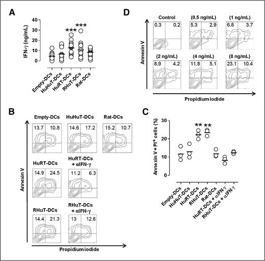 Figure 5. HuRT-DCs and RHuT-DCs from HER2-CP elicit enhanced IFN-γ production. A, IFN-γ production analyzed by ELISA on supernatants of co-cultures of T cells from CP with autologous transfected DCs (n = 15) collected at day 3. ***, P < 0.0001. B, representative Annexin V/PI assay of SKOV-3-A2 cells cultured for 48 hours with supernatants derived from DC co-cultures. C, graphs show the percentage of Annexin V+PI+ SKOV-3-A2 cells cultured for 48 hours with supernatants derived from co-cultures of 3 different CP. **, P < 0.001. D, Annexin V/PI assay of SKOV-3-A2 cells cultured for 48 hours with indicated concentration of human rIFN-γ.