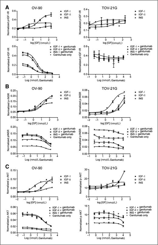 Figure 3. Induction and blockade of growth factor–induced IGF-IR, INSR, and AKT signaling with IGF-II, IGF-II, insulin, and ganitumab. A, ganitumab inhibited IGF-I–, IGF-II–, and insulin-induced IGF-IR phosphorylation in OV-90 cells but not in TOV-21G cells. B, ganitumab inhibited IGF-I–, IGF-II–, and insulin-induced INSR phosphorylation in OV-90 cells. Only IGF-I–induced INSR phosphorylation was inhibited in the TOV-21G cell line. C, ganitumab inhibited IGF-I– and IGF-II–induced AKT phosphorylation in OV-90 cells but not in TOV-21G cells. Phosphorylated and total IGF-IR, INSR, and AKT levels were determined in serum-starved OV-90 and TOV-21G cells after 20 minutes of treatment with growth factor ± ganitumab using Mesoscale multiplex assays. Mean data are plotted as phosphoprotein signal divided by total signal without background subtraction ± SD.