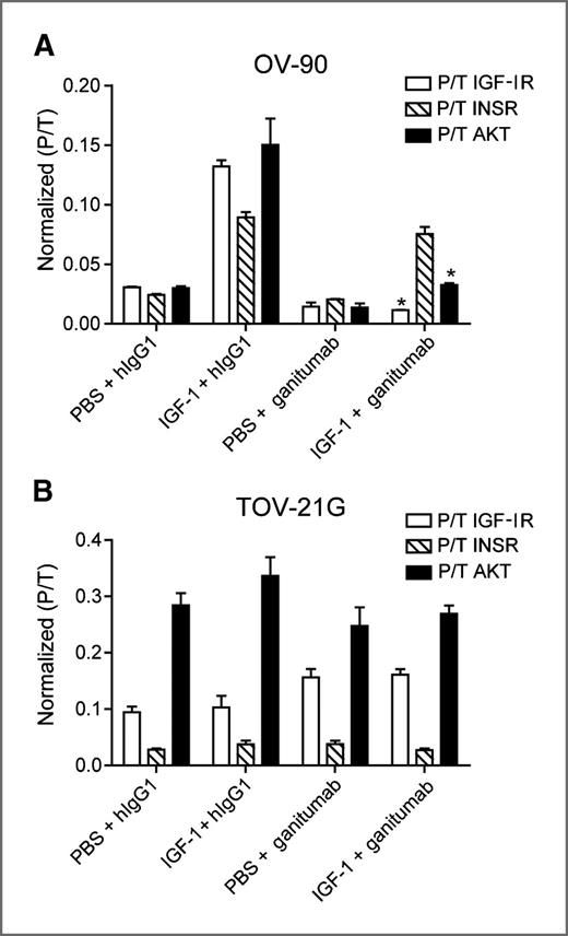 Figure 4. Blockade of IGF-I–induced IGF-IR and hybrid receptor signaling in human ovarian cancer xenografts by ganitumab. Mice bearing OV-90 or TOV-21G xenografts between 300 and 450 mm3 (n = 3 per group) were injected intraperitoneally with 1 mg ganitumab or hIgG1. After 6 hours, IGF-I (5 μg) or 1× PBS was administered intravenously, and after 15 minutes, xenografts were collected and analyzed for levels of phosphorylated IGF-IR, INSR, and AKT. A, ganitumab inhibited IGF-IR and AKT but not INSR phosphorylation in OV-90 xenografts. B, ganitumab did not inhibit IGF-IR, INSR, and AKT phosphorylation in TOV-21G xenografts. Data, mean ± SEM. Student t test was used to determine whether ganitumab significantly inhibited the activation of IGF-IR, INSR, or AKT when compared with hIgG1 control. *, P < 0.01.