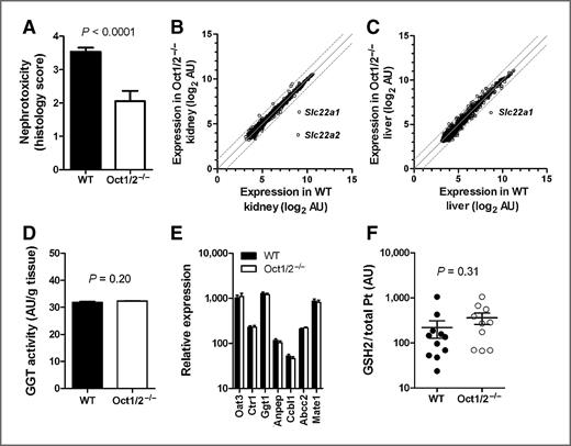 Figure 1. Phenotypic characterization of Oct1/2−/− mice. A, degree of nephrotoxicity based on histology scores observed in kidneys isolated from wild-type (WT; n = 30), and Oct1/2−/− (mice n = 18) 72 hours after administration of cisplatin. Toxicity scores are based on percentage of damaged tubules: 0 (<10%, absent), 1 (11%–25%, minimal), 2 (26%–50%, mild), 3 (51%–75%, moderate), and 4 (>75%, severe). Comparative expression of 84 transporter genes in kidneys (B) and livers (C) of wild-type and Oct1/2−/−mice (n = 3 each). D, activity of GGT in kidneys of wild-type and Oct1/2−/−mice (n = 4 each). E, relative expression of putative cisplatin transporter and GGT pathway genes in kidneys of wild-type and Oct1/2−/−mice (n = 3 each). F, concentration of GSH2 (glutathione–monoplatinum conjugate) in urine of wild-type and Oct1/2−/−mice (n = 11 and 12, respectively). Levels of the glutathione–diplatinum conjugate, GSH1, were undetectable (<0.1 μg/mL). P values above the bars denote statistical comparison between wild-type and Oct1/2−/− mice as determined by an unpaired t test. Data, mean values and SE (error bars).