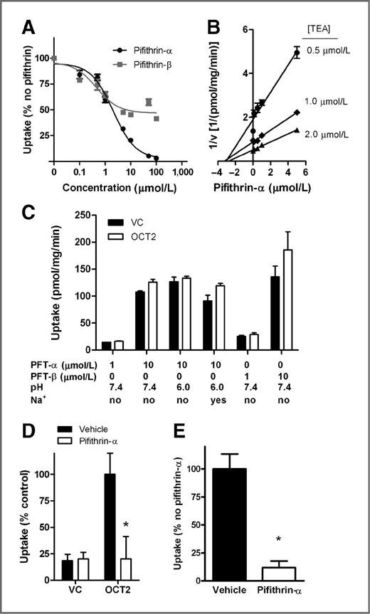 Figure 4. Identification of pifithrin-α as an OCT2 inhibitor. A, inhibition of 2 μmol/L TEA uptake in OCT2 transfected HEK293 cells with various concentrations of pifithrin-α or -β (n = 3). Data are normalized to TEA uptake in the absence of pifithrin-α/β. Concentration-dependent inhibition of pifithrin-β was affected by constraints in aqueous solubility. B, potential of various concentrations of pifithrin-α to inhibit uptake of 0.5 to 2.0 μmol/L TEA in OCT2-transfected HEK293 cells (Ki = 3.04 μmol/L; n = 3). C, cellular accumulation of pifithrin-α (PFT-α) or pifithrin-β (PFT-β) at various concentrations in OCT2-transfected HEK293 cells or vector control (VC) at pH 7.4 or 6.0 and in the presence or absence of 125 mmol/L sodium (Na+; n = 3). D, uptake of cisplatin (500 μmol/L) in OCT2-transfected HEK293 cells in the presence or absence of pifithrin-α (100 μmol/L; n = 12). Data are normalized to the percent uptake of cisplatin in HEK293 cells transfected with OCT2 in the absence of pifithrin-α. E, uptake of ASP+ (1 μmol/L) in isolated human proximal tubules in the presence or absence of 500 μmol/L pifithrin-α (n = 4). Data are normalized to the percent uptake of ASP+ in human proximal tubules in the absence of pifithrin-α. Error bars, SE. *, P < 0.05 versus uptake in OCT2-transfected HEK293 cells or human proximal tubular cells in the absence of pifithrin-α as determined by an unpaired t test.