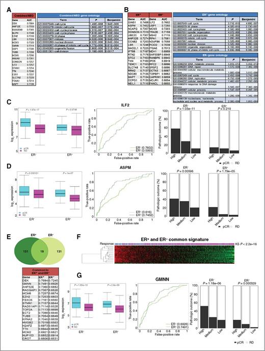 Figure 3. Definition of genes that harbor strong predictive value in discrete breast cancer subtypes: A, gene expression data were mined to define genes with the top-ranked ROC characteristics across all treatment groups. The top 20 genes and their associated AUC values are shown. Gene ontology analysis was performed on the top 150 predictive genes identified in the cohort. B, the integrated cohort was subdivided and top predictive genes unique to ER-positive and ER-negative breast cancer was determined by ROC analysis. Top 20 genes are shown for each subtype. Gene ontology analysis was performed on the top 150 predictive genes identified in each disease subtype. C, example of a gene that is predictive in ER-positive but not ER-negative breast cancer. D, example of a gene is predictive in ER-negative but not ER-positive breast cancer. E, intersection of the predictive genes in ER-positive and ER-negative subtypes and genes with the top AUC values are shown. F, the genes predictive in both ER-positive and ER-negative disease were used to cluster cases based on signature expression value (all cases, ER positive, and ER negative). The Kolmogorov–Smirnov (KS) statistic was used to determine the association of the signature value with clinical response. G, example of a gene predictive in both ER-negative and ER-positive breast cancer.