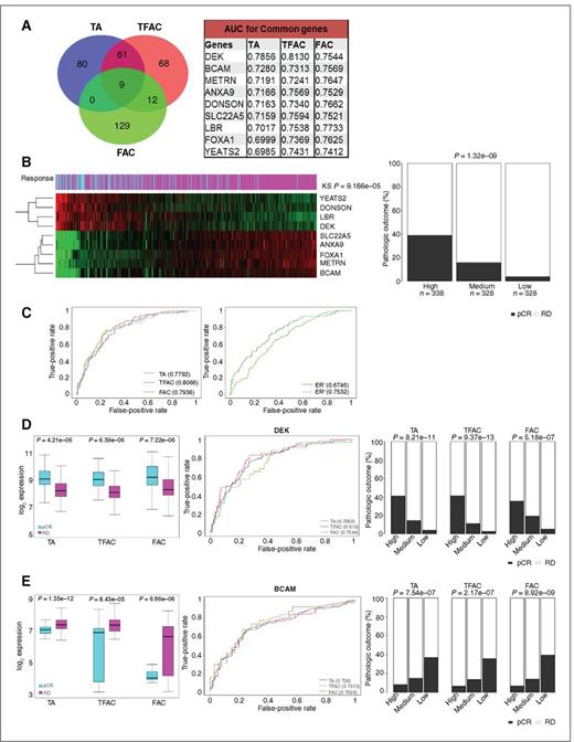 Figure 4. Definition of genes that harbor strong predictive value across treatment groups: A, intersection analysis of predictive genes across three treatment groups reveals only nine genes that are in common between the cohorts. Genes and their representative AUC values are shown for each cohort. B, the genes predictive in all treatment groups were used to cluster cases based on signature expression value. The Kolmogorov–Smirnov (KS) statistic was used to determine the association of the signature value with clinical response. The association of defined tertiles with pathological response is shown. C, the ROC predictive behavior is shown based on therapeutic intervention and ER status. D, the top performing gene associated with pCR, DEK, is shown as a single determinant of pathologic response. E, the top performing gene associated with residual disease, BCAM, is shown as a single determinant of pathologic response.