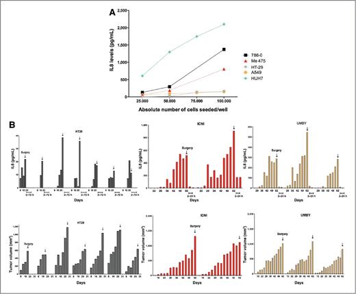 Figure 1. IL8 production by cultured and xenografted tumor cells reflects tumor cell number. A, concentrations of IL8 in the tissue 48-hour culture supernatants of the cell lines 786-0 (representing RCC), Me475 (representing melanoma), and HT29 (representing colorectal cancer) seeded at the indicated density. B, time course of the serum concentrations of IL8 (top) and tumor volume (bottom) in Rag2−/−IL2Rγc−/− mice xenografted with the indicated cell lines. Individual mice are represented and at the time point, indicated by the arrow, the tumor was surgically removed. Serum IL8 concentrations are depicted at 2 and 24 hours (ICNI and UMBI) or 2, 12, 24, and 72 hours (HT29) after surgery.