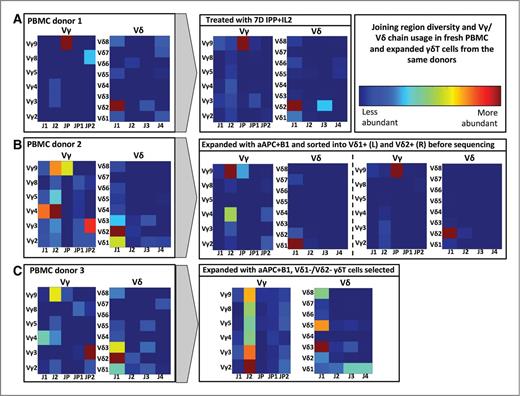 Figure 2. Joining region diversity and Vγ/Vδ chain usage in fresh PBMC and expanded γδT cells from the same donors. Heat maps demonstrating variable and joining gene segment usage, as revealed by next-generation RNA sequencing, in γδTCR chain in PBMC populations of healthy donors, before and after expansion using IPP or aAPC+B1. Relative frequency of V and J pairings is shown in blue (low abundance) through to red (high abundance). PBMC donor 1 (A) demonstrates a dominance of Vγ9Vδ2, which is reinforced following a 7-day expansion with IPP and IL2. PBMC donor 2 (B) demonstrates more diversity before expansion using aAPC and B1, and there is greater γ chain diversity in the Vδ1+ subset than in the Vδ2+ subset. In the Vδ1negVδ2neg population sorted from donor 3 (C), there is marked diversity in both δ and γ chain joining segment and V segment usage in both PBMC and expanded cells.