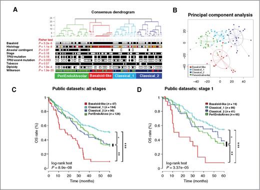 Figure 4. Molecular subtypes derived from mRNA expression profiles and related OS. A, top, consensus dendrogram of the 93 tumor samples derived from 24 unsupervised partitions in k = 4 clusters obtained using different experimental settings (see Supplemental Materials and Methods). Bottom, tumor sample annotations: basaloid (black = basaloid SCC; white = NOS SCC) and histology (pure basaloid in red, mixed basaloid in orange, poorly differentially SCC in black, and well-differentiated SCC in white); alveolar contingent refers to endoalveolar feature (yes = black, mild = gray, none = white); stage (black = stage 1, white = higher stage); TP53 mutation and TP53 exon4 mutation (yes = black, no = white); diploidy refers to the rate of diploid tumor cells, according to a SNP array-based estimation (black = >75%, white = <75%). Samples in gray show a very high rate of diploid cells (>90%) that cannot be precisely estimated due to a SNP array profile without detectable CNA. Wilkerson refers to the predicted subtype according to Wilkerson classification system (ref. 6; green, secretory; red, primitive; light blue, basal; dark blue, classical). B, Principal Components Analysis of the CIT cohort: samples are projected in the plane of the two first principal components (PC1, PC2) and are colored according to their molecular subtype (red = BL, light blue = Classical_1, dark blue = Classical_2, green = PEA). C, Kaplan–Meier curves of OS in 7 public datasets of lung SCC (n = 457) stratified according to the CIT molecular subtypes. D, Kaplan–Meier curves of OS in 7 public datasets, restricted to stage 1 tumors (n = 211), stratified according to CIT molecular subtypes. Stars refer to P values of log-rank tests comparing OS between two groups among the following groups: BL, (Classical_2+PEA), Classical_1 (*, <5E−2; **, <5E−4; ***, <5E−6). The log-rank test P value for all 4 subtypes is shown below the survival curves.