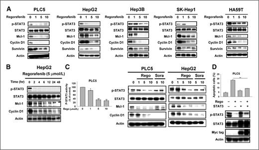 Figure 2. Inhibition of p-STAT3 determines the sensitizing effects of regorafenib in HCC cells. A, dose-dependent effects of regorafenib on STAT3-related proteins. Cells were treated with regorafenib at the indicated doses for 24 hours. B, regorafenib induced p-STAT3 inactivation in a time-dependent manner. C, left, dose-dependent effects of regorafenib on p-STAT3 activity. PLC5 cells were exposed to the indicated doses of regorafenib for 24 hours and assayed in p-STAT3 ELISA. Right, regorafenib exhibited more potent p-STAT3 inhibition than sorafenib in PLC5 and HepG2 cells. D, STAT3 reverses the apoptotic effect of regorafenib. PLC5 cells transiently expressing STAT3 with Myc-tag were treated with regorafenib at 7.5 μmol/L for 24 hours and the percentage of apoptosis was measured by sub-G1 analysis. Columns, mean; bars, SE (n = 3); *, P < 0.05; **, P < 0.01.