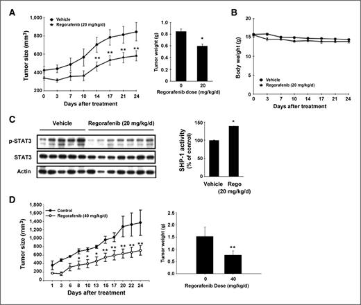 Figure 5. Regorafenib induced significant tumor growth inhibition in vivo by targeting SHP-1–dependent STAT3 inhibition. A, regorafenib exhibited significant tumor growth inhibition in a PLC5-bearing HCC subcutaneous model. Left, mice received regorafenib at 20 mg/kg/d and tumor growth was measured twice weekly. Points, mean; bars, SE (n = 10). Right, tumor weight at the end of treatment. *, P < 0.05; **, P < 0.01. B, body weight of mice with regorafenib treatment. C, left, regorafenib induced potent STAT3 inhibition in tumor lysate. Right, activated SHP-1 in regorafenib-treated tumor sample. Columns, mean; bars, SE (n = 8); *, P < 0.05. D, left, tumor growth curve of mice treated regorafenib at 40 mg/kg/d. Points, mean; bars, SE (n = 8); *, P < 0.05; **, P < 0.01. Right, tumor weight at the end of treatment.