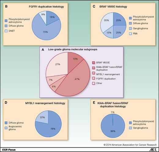 Figure 3. LGG molecular subgroups and distribution of each molecular subtype among the various histologic subtypes of LGG. A, characteristic molecular lesions that define LGG. B, FGFR1 duplication in histologic subgroups of LGG. C, V600E mutation in histologic subgroups of LGG. D, MYBL1 rearrangement in histologic subgroups of LGG. E, KIAA–BRAF fusion and BRAF duplication in histologic subgroups of LGG.