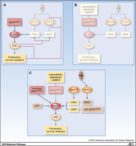 Molecular Pathways: Response and Resistance to BRAF and MEK Inhibitors ...