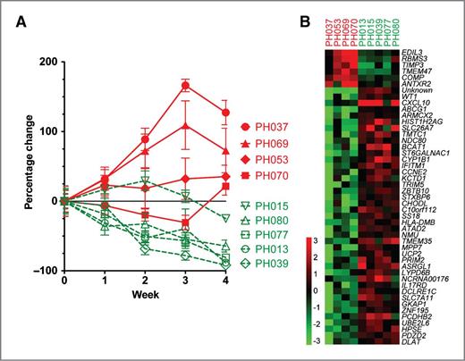 Figure 5. Tumorgraft response to treatment with correlation to the patient experience. A, percentage of change in tumor area over time in vivo for tumorgraft models treated with chemotherapy. Tumorgraft models are derived from patients with platinum-sensitive (dotted line) or -resistant (solid line) cancer. B, heat map representing the most significantly upregulated (red) or downregulated (green) genes in sensitive compared with resistant tumorgrafts.