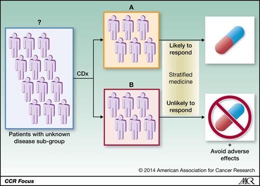 Figure 1. Use of a companion diagnostic (CDx) to identify the patient subgroup suitable for treatment with the corresponding pharmaceutical. The use of a CDx in patients with an unknown disease subgroup (blue box) enables stratification of patients who are likely to respond to the corresponding treatment (A, orange box) and patients who are unlikely to respond to the treatment (B, red box). Moreover, CDx-guided stratification avoids adverse effects from the treatment in those who are unlikely to benefit.
