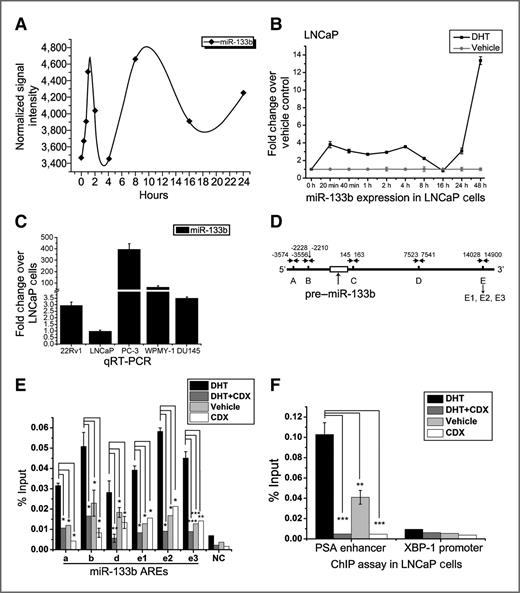 Figure 1. miR-133b expression to response androgen and the basal expression in different prostatic cell lines. A, time course profile of miR-133b expression in response to 10 nmol/L DHT stimulation in LNCaP cells. The Y-axis referred to normalized signal intensity of the miRNA microarray. B, LNCaP cells were treated with 10 nmol/L DHT or ethanol as vehicle at different time points as indicated. Total RNA was prepared as described in Materials and Methods and analyzed for miR-133b expression by qRT-PCR. All expression levels were normalized to vehicle control at each time point, each experiment was performed in triplicate, and values are mean ± SD. C, qRT-PCR analysis of miR-133b expression level in different prostatic cell lines as indicated. The data were expressed as fold change of miR-133b expression in each cell line versus LNCaP cells. D, schematic diagram of miR-133b's ARE sites at the 5′ and 3′ regions. ARE site is indicated by arrows. E and F, occupancy of AR on candidate AREs of miR-133b, PSA enhancer, and XBP-1 promoter with antiandrogen treatment. LNCaP cells were treated with vehicle, 10 μmol/L antiandrogen Casodex (CDX), 100 nmol/L DHT, or a combination of 100 nmol/L DHT and 10 μmol/L Casodex (indicated as DHT+Casodex) for 4 hours before harvesting for ChIP assays. Chromatin samples were immunoprecipitated with anti-AR antibody, and bound DNA was quantified as described in Materials and Methods. E, AR occupancy on the candidate AREs of miR-133b. A DNA region adjacent to miR-133b gene (9982–9895-bp upstream from pre–miR-133b transcription start site) that does not contain a putative ARE served as negative control (indicated as NC). F, AR occupancy on the PSA enhancer (positive control) and XBP-1 promoter (negative control). Values, expressed as percentages of input DNA, are the mean ± SD of at least three independent experiments. Significance is defined as P < 0.05 (*, P < 0.05; **, P < 0.01; ***, P < 0.001).