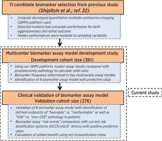 Figure 1. A simplified overview of biomarker selection, biomarker assay model development, and validation of biomarker assay model.
