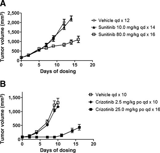 Figure 2. Antitumor activity of sunitinib and crizotinib in RCC-43b and RCC-47, respectively. RCC-43b (A) or RCC-47 (B) tumor bearing mice were randomized in groups of n = 10 when average tumor volume reached ∼100 mm3. Daily oral administration of sunitinib, or crizotinib, at the indicated dose levels continued till the end of the study. Tumor volumes were measured on indicated days and graphed as mean tumor volume ± SEM.