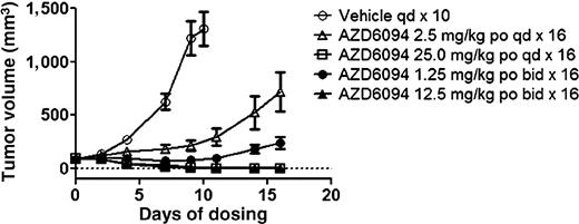 Figure 6. Twice a day dosing of AZD6094 is more efficacious than daily dosing in RCC-47. RCC-47 tumor bearing mice were randomized in groups of n = 10 when average tumor volume reached ∼100 mm3. AZD6094 was administered daily or twice a day (8 hours;16-hour schedule) at the indicated dose levels till the end of the study. Tumor volumes were measured on indicated days and graphed as mean tumor volume ± SEM.