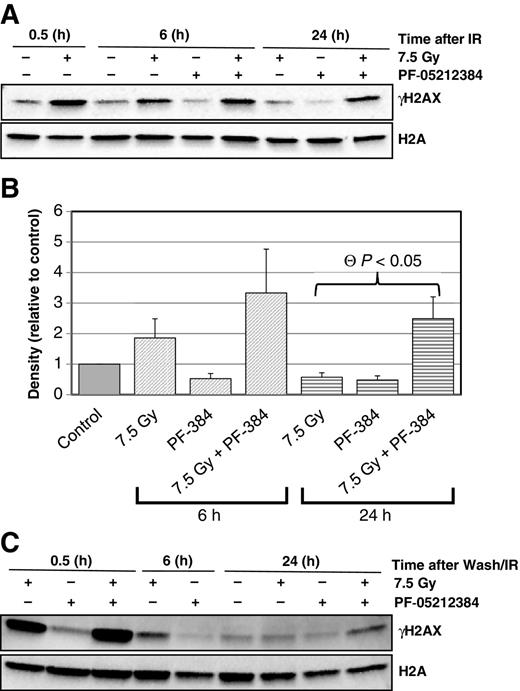 Figure 3. The effects of PF-05212384 (10 μmol/L) on UMSCC1 radiation induced DNA damage repair. Western blot analysis of phosphorylated γH2AX from (A) UMSCC1 as a function of PF-05212384 (10 μmol/L) drug treatment time following irradiation (7.5 Gy) with associated (B) mean (±SEM) densitometry of three independent γH2AX post-IR PF-05212384 treatment westerns. Individual experiment densitometry results were normalized based on the corresponding lane H2A loading control. Characteristic Western blot of γH2AX from (C) UMSCC1 as a function of time following irradiation (7.5 Gy) with 24-hour PF-05212384 (10 μmol/L) pre-IR treatment; DNA-DSB repair inhibition at 24 hours is not statistically significant across multiple independent experiments. With pre-IR treatment, cells washed twice with 37°C medium at time of irradiation and incubated with drug-free medium for the given timeframe. Statistically significant difference indicated by ⊖ as calculated by the Student t test.