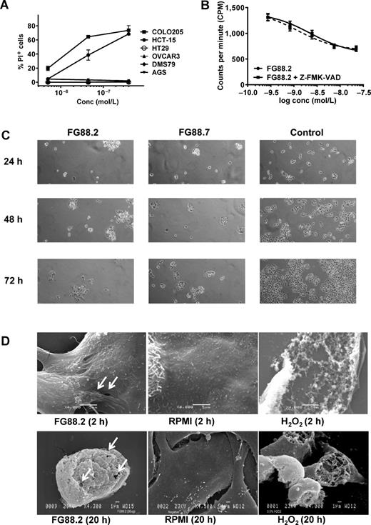 Figure 3. Direct cytotoxic activity of FG88 mAbs. A, dose-dependent increase in PI uptake by a range of tumor cell lines as a result of FG88.2 binding (7.4 × 10−9–2 × 10−7 mol/L). B, dose-dependent growth inhibition (3H-thymidine incorporation) of HCT-15 cells by FG88.2 (2.2 × 10−8–2.7 × 10−10 mol/L) in the presence or absence of Z-FMK-VAD (20 μmol/L). Nonlinear regression was performed using GraphPad Prism 6. C, phase-contrast imaging of FG88 mAb-treated HCT-15 cells. Images (magnification, ×10) showing HCT-15 cells after incubation with FG88.2 and FG88.7, both at 1.3 × 10−7 mol/L, and RPMI medium (negative control). D, SEM analysis of FG88.2-induced ultrastructural cellular changes. HCT-15 cells were treated with FG88.2 mAb (2 × 10−7 mol/L) for 2 or 20 hours. Medium alone (RPMI) and 0.5% (v/v) H2O2 were used as negative and positive controls, respectively. Arrows indicate mAb-induced pores.