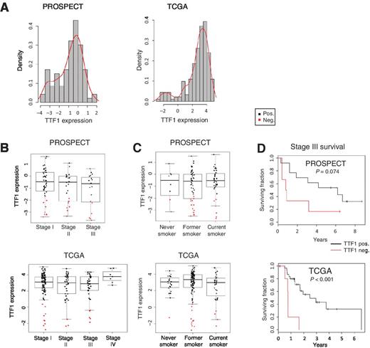 Figure 2. TTF1-negative defined by RPPA is associated with worse clinical outcome. Density plot analysis of both cohorts reveals bimodal distribution of TTF1 expression by RPPA (A) categorizing LUAD biopsy samples into new TTF1-negative and –positive groups. TTF1-negative disease is observed across stages I–III (B) and all smoking statuses (C). As previously described TTF1-negative disease is associated with worse OS (D).