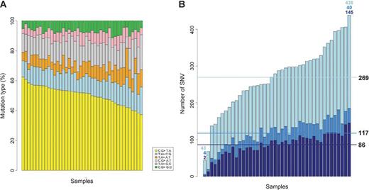 Figure 1. Single-nucleotide somatic mutations (SNV) across samples. A, percentage of mutations by transition/transversion type. B, number of mutations per sample. Light blue represents the fraction of intronic/intergenic mutations, whereas blue represents exonic variants. Dark blue emphasizes those potentially functional exonic variants. Horizontal lines represent the mean of SNV for each category.