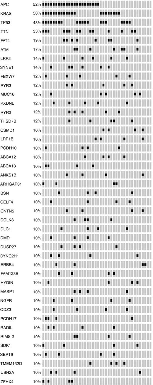 Figure 2. Mutational map representing top mutated genes. Each column corresponds to each analyzed tumor (n = 42), and each line corresponds to genes recurrently mutated. Black hits indicate a functional mutation in such tumor and gene. OncoPrinter tool from cBioPortal has been used to generate this figure (33).