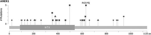 Figure 3. AMER1 mutations. Lollipop plot showing the distribution of AMER1 mutations across the coding protein. The y-axis represents the number of mutations. Circles indicate missense mutations, squares truncating mutations, and triangles synonym mutations. Pentagon indicates residues affected by different mutation types. MutationMapper tool from cBioPortal has been used to generate this figure (33).