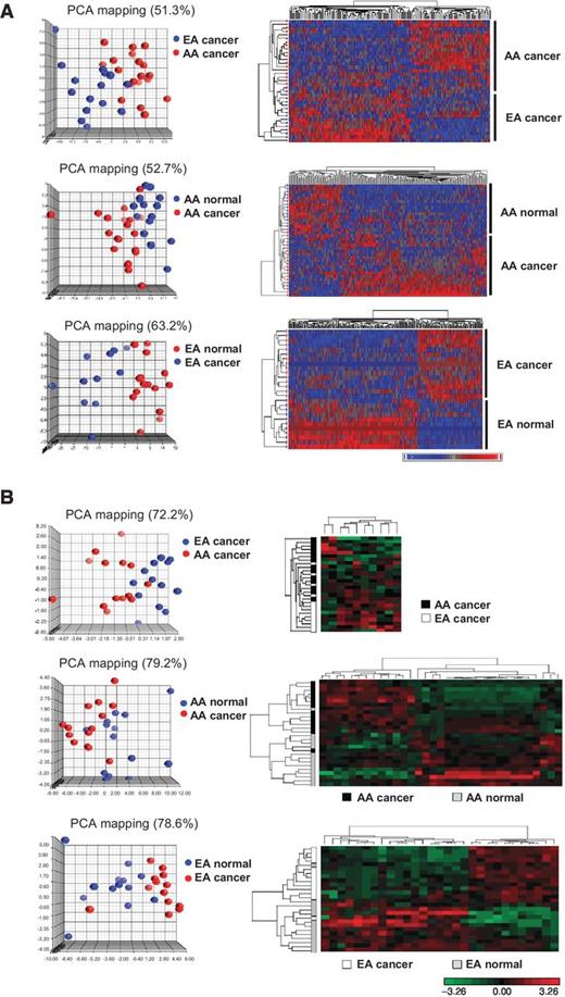 Figure 1. mRNA and miRNA expression profiling of prostate cancer (PCa) specimens and patient-matched normal tissues derived from AA and EA patients. A, prostate cancer plots and hierarchical 2D clustering of mRNA expression in AA prostate cancer versus EA prostate cancer, and prostate cancer versus patient-matched normal tissue. B, prostate cancer plots and hierarchical clustergrams of miRNA expression in AA prostate cancer versus EA prostate cancer, and prostate cancer versus patient-matched normal tissue. For both A and B, samples are in rows, and mRNAs or miRNAs are in columns. Plots demonstrated clear separation and consistency of mRNA and miRNA expression profiles in group comparisons. For mRNA profiling, n = 20, 20, 15, and 15 for AA prostate cancer, AA-matched normal, EA prostate cancer, and EA-matched normal, respectively. For miRNA profiling, n = 14, 14, 13, and 13 for AA prostate cancer, AA-matched normal, EA prostate cancer, and EA-matched normal, respectively.