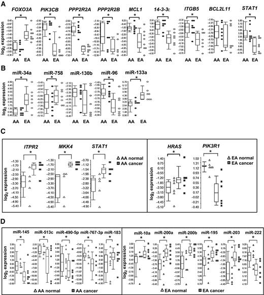 Figure 3. qRT-PCR validation of population-enriched/-depleted and -specific mRNAs and miRNAs in AA and EA prostate cancer (PCa). A, qRT-PCR validation of differentially expressed mRNAs in AA prostate cancer versus EA prostate cancer. B, qRT-PCR validation of differentially expressed miRNAs in AA prostate cancer versus EA prostate cancer. C, qRT-PCR validation of population-specific mRNAs. D, qRT-PCR validation of population-specific miRNAs. The expression levels of mRNA or miRNAs from AA and EA patients are presented as Box-and-Whiskers plots (in A–D). Box: top quantile, median and bottom quantile. Whiskers: top extreme (90 percentile of the dataset) and bottom extreme (10 percentile of the dataset). Dot plots represent the relative expression levels of mRNA or miRNA from individual patient samples; *, P < 0.05 using the Student t test (n = 6–9 independent experiments in A and B), or a paired Student t test (n = 5–8 independent experiments in C and D).