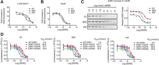 Figure 2. Fulvestrant, BZA, and PIP inhibit ESR1 activity in relevant models of endocrine therapy–resistant breast cancer. A, LTED MCF7 cells were plated in PRF media supplemented with FBS that was stripped of growth factors twice using charcoal. Cells were treated with ICI, BZA, and PIP (10−12–10−7 mol/L) on days 1, 4, and 6 of an 8-day proliferation assay and analyzed as in Fig. 1. B, TamR cells were plated in media supplemented with CFS 24 hours prior to treatment, and were treated with 1 nmol/L E2 as well as with ICI, BZA, and PIP (10−11–10−6 mol/L) on days 1, 4, and 6 of an 8-day proliferation assay. Cell proliferation was quantitated as in Fig. 1. C, TamR cells were plated in PRF media supplemented with charcoal-stripped FBS 48 hours prior to treatment with ICI, BZA, or PIP (10−13–10−6 mol/L) for 24 hours. Expression of ESR1 (C) and loading control cytokeratin 18 (CK18; Supplementary Fig. S2A) in whole-cell extracts were detected by immunoblot (left). ESR1 levels relative to CK18 were quantitated by densitometry using Adobe Photoshop (right). D, MCF7 cells engineered to express WT ESR1 or Y537S, Y537N, or D538G mutations of ESR1 were treated for 7 days with increasing (10−11–10−6 mol/L) concentrations of ICI, BZA, or PIP. DNA content, as assessed by luminescence (CellTiter-Glo assay), serves as an indicator of cell number in each condition. Data represent average detection ± SD of triplicate wells. Data are representative of at least 3 independent experiments. IC50 values listed in the figure legend were calculated by nonlinear curve regression using GraphPad Prism 6.