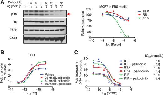 Figure 3. SERDs or SERM/SERD hybrids and CDK4/6 inhibitors impact breast cancer growth by distinct mechanisms. A, MCF7 cells were plated in media supplemented with FBS prior to 24-hour treatment with increasing concentrations of palbociclib (10−8.6–10−6.6 mol/L). Levels of pRb, Rb, ESR1, and CK18 were detected by immunoblot of whole cell extracts (left) followed by densitometry analysis and normalization (right) as in Fig. 2C. The red arrow (→) indicates protein band corresponding to pRb. Protein levels were normalized to the control (no palbociclib treatment) present in the first lane. B, MCF7 breast cancer cells were treated for 24 hours with increasing concentrations (10−13–10−9 mol/L) E2 in the presence of palbociclib (0, 25, 50, or 100 nmol/L). mRNA expression of TFF1 was analyzed as in Fig. 1. C, proliferation of MCF7 cells was analyzed as in Fig. 1 after 8-day treatment with 1 nmol/L E2 as well as increasing concentrations of SSH/SERD (ICI, BZA, or PIP) and palbociclib (0 or 25 nmol/L). Data are representative of at least 3 independent experiments.