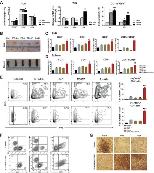 Figure 3. A, left, cells in TLN from mice that were naïve or transplanted with 5 × 105 cells from SW1 or syngeneic normal cells 1 day before euthanasia; middle, relative mRNA expression for TLN from mice that were naïve or transplanted 2 days previously with 1 × 105 B16 cells; right, CD11b+Gr-1+ MDSC in spleens from mice that were naïve or transplanted with 5 × 105 SW1 or TC1 cells 14 or 21 days before euthanasia (n = 5 per group). B, photographs of TLN (top) and spleen (bottom) from SW1-bearing mice 7 days after one injection of the three-mAb combination. C, lymphocyte populations in TLN from SW1-bearing mice treated as indicated (n = 5/group). D, lymphocyte populations in spleens from the same mice (n = 5 per group). E, dot plots and numbers of CD8+ (top) and CD4+ (bottom) spleen cells expressing IFNγ and TNFα after culture with the Cell Stimulation Cocktail for 16 hours (n = 3 per group). F, dot plots showing decrease of CD19+ cells and increase of CD3+, CD4+, CD8+ cells and CD11c+CD86+ mature DCs in TIL from SW1-bearing mice, which had been treated once with the three-mAb combination as compared with control mice. G, immunohistochemistry (IHC) images showing CD19, CD8, and CD4 cells in SW1 tumors of these mice. *, P < 0.05; **P, < 0.01; ***, P < 0.001. Similar results were obtained in at least three independent experiments.
