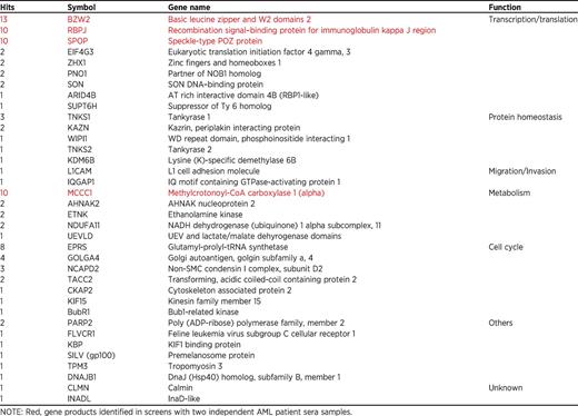 Targets identified in K008 cDNA expression library with sera from vaccinated patients with AML