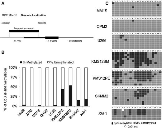 Figure 6. Methylation of CCND2 promoter. Genomic location for analyzed CpG island (A). Percentage of methylated island in analyzed clones for each cell line (B). Representation of methylated and unmethylated CpG clones within the CpG island in the MM1S, OPM2, U266, KMS12BM, KMS12PE, SKMM2, and XG-1 cell lines (C).