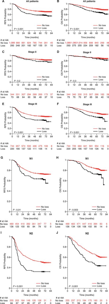 Figure 2. Kaplan–Meier curves of RFS (A, C, E, G, and I) and OS (B, D, F, H, and J) for all patients, for stage II patients, for stage III patients, for stage III N1 patients and for stage III N2 patients, respectively, by SMAD4 expression status (SMAD4 loss vs. SMAD4 expression patients).