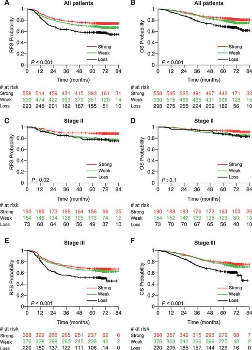 Figure 4. Kaplan–Meier curves for RFS (A, C, and E) and OS (B, D, and F) for all patients, for stage II patients, for stage III patients, respectively, by SMAD4 expression (loss vs. weak vs. strong expression).