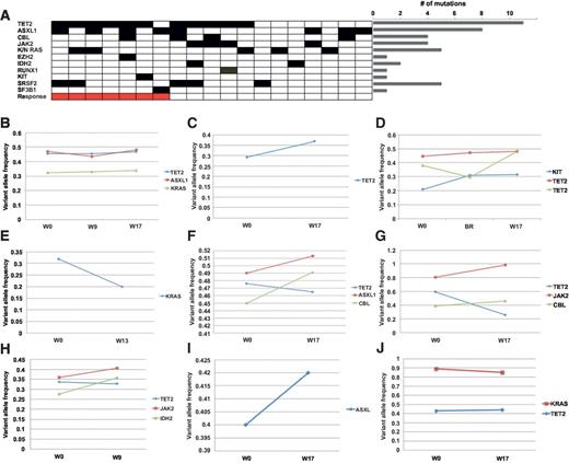 Figure 2. Mutational profiling of CMML patients treated with ruxolitinib. A, the mutational landscape of CMML patients on trial. Patients are represented in columns and gene mutations in rows. Cases sorted by combined MDS IWG 2006 and spleen response. The number of mutations seen in the entire cohort is denoted in the bar plot (L). B–D, sequential variant allele frequency of responding patients from 0 to 1.00. E–J, sequential variant allele frequency of nonresponding patients. x-axis denotes week (W) and/or best response (BR).