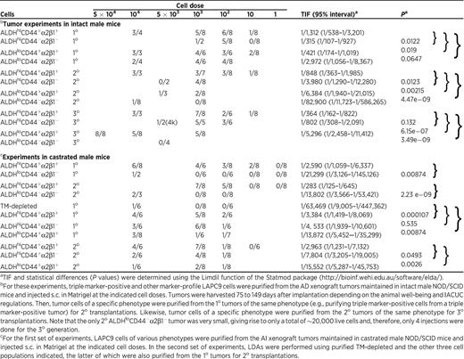TIF of subsets of LAPC9 cells in intact and castrated male NOD/SCID mice
