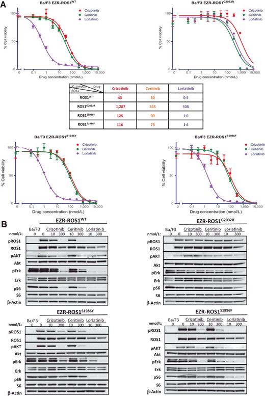 Crizotinib-Resistant ROS1 Mutations Reveal a Predictive Kinase ...