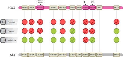 Crizotinib-Resistant ROS1 Mutations Reveal a Predictive Kinase ...