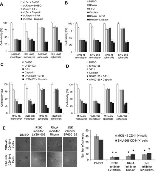 Figure 4. Diffuse gastric CSCs and chemoresistance. A to D, proliferation assays for diffuse gastric cancer spheroid cells and monolayer cells following treatment with RhoA shRNA (sh.RhoA) or scrambled control shRNA (sh.Scr), 5-fluorouracil (5-FU) or cisplatin chemotherapy, the RhoA inhibitor Rhosin, the PI3K inhibitor LY294002, or the JNK inhibitor SP600125. E, photos and graph of spheroid formation assay for CD44(+) MKN-45 or SNU-668 cells with the PI3K inhibitor LY294002, RhoA inhibitor Rhosin, JNK inhibitor SP600125, or carrier (DMSO); bars, SD; *, P < 0.05.